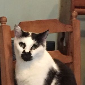 Meet your Posher, Patty